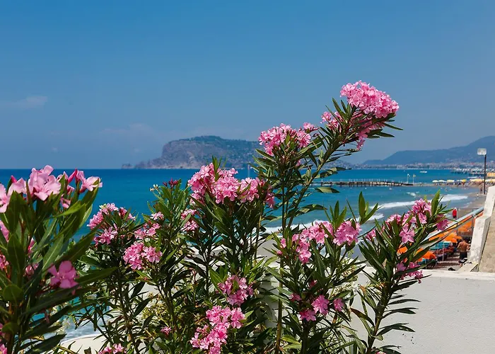 King As Alanya