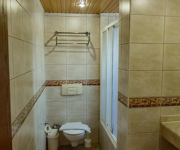 King As アランヤ