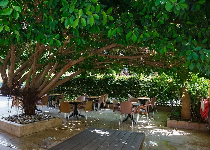 King As アランヤ